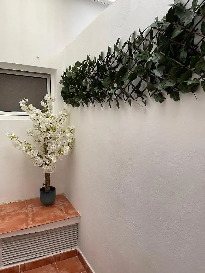 Appartamento Dream Recova Santa Cruz de Tenerife Spagna