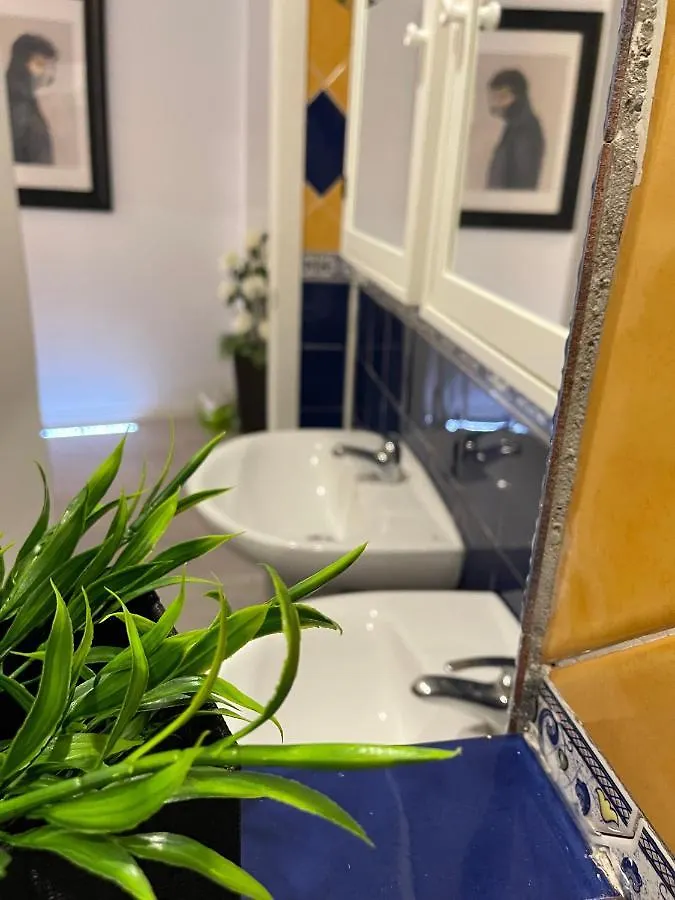 Dream Recova Apartment Santa Cruz de Tenerife Spain